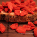 China Supplier OEM Sweet Taste Authentic Natural Dried Wolfberry Goji Berries